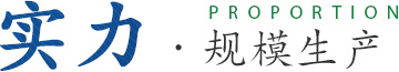 實(shí)力·規(guī)模生產(chǎn) 實(shí)力·規(guī)模生產(chǎn)